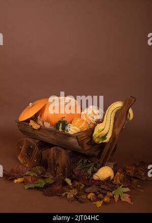 Neugeborene Fotografie Kürbis Kutsche Schubkarre Hintergrund / Hintergrund Herbst halloween Stockfoto