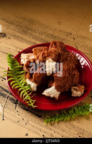 Das Stillleben der Waldpilze auf dem roten Teller Stockfoto