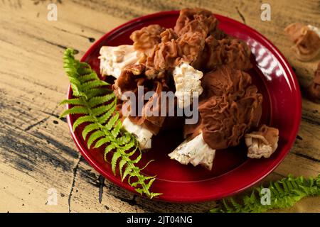 Das Stillleben der Waldpilze auf dem roten Teller Stockfoto