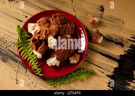 Das Stillleben der Waldpilze auf dem roten Teller Stockfoto