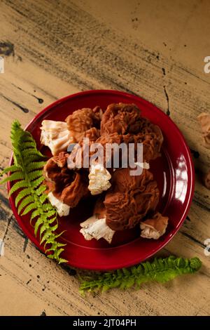 Das Stillleben der Waldpilze auf dem roten Teller Stockfoto