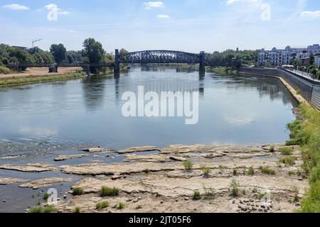 Elbe in Magdeburg mit niedrigem Wasserstand im Sommer 2022 Stockfoto