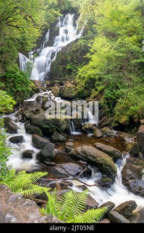 Torc Wasserfall im Killarney Nationalpark in der Grafschaft Kerry, Irland Stockfoto