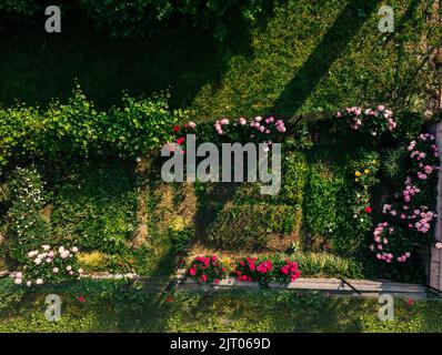 Ein Blick von oben auf einen schönen Garten mit roten, rosa und weißen Blumen in Viseu de Sus, Rumänien Stockfoto