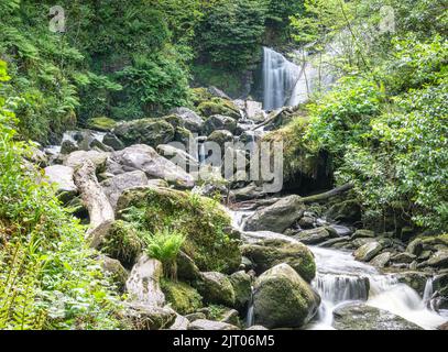 Torc Wasserfall im Killarney Nationalpark in der Grafschaft Kerry, Irland Stockfoto