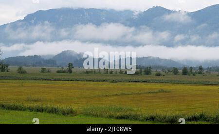 Murmaus, Deutschland. 27. August 2022. Nebelschwaden ziehen entlang der Berggipfel über die im Spätsommer farbigen Wiesen im Murnauer Moos. Quelle: Angelika Warmuth/dpa/Alamy Live News Stockfoto