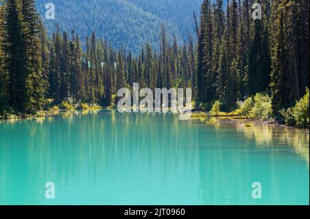 Emerald Lake mit türkisfarbenem Wasser, Yoho Nationalpark, Alberta, Kanada. Stockfoto