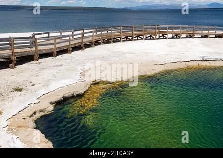 Holzsteg zwischen Yellowstone Lake und Black Pool, Yellowstone National Park, Wyoming, USA Stockfoto