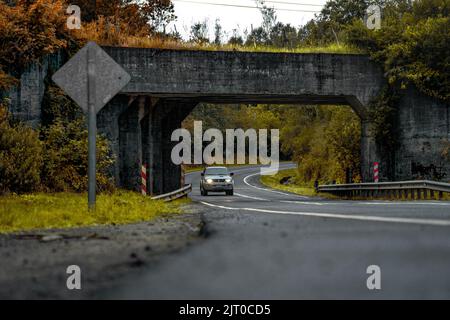 Ein Auto, das auf einer Straße unter einer Brücke in der südlichen Zone, Chile, fährt Stockfoto