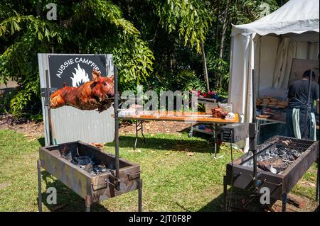 Ein ganzes Schwein, das bei einem Festival in Port Douglas, Far North Queensland, Australien, auf einer eigens dafür gebauten rechteckigen Feuerstelle aus Stahl gebraten wird. Stockfoto