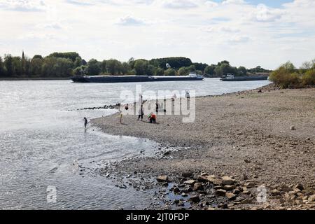 Duisburg, Nordrhein-Westfalen, Deutschland - trockenes Flussbett im Rhein bei der Fähranlegestelle Walsum, Rheinfähre Walsum-Orsoy. Nach einer langen Dürre, die Stockfoto