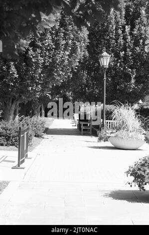 Idyllischer Fußweg durch einen schönen Park mit einer romantischen Straßenlampe aus Eisen in schwarz-weißem Schwarzweiß-Schwarz-Weiß-Schwarz-Weiß. Stockfoto