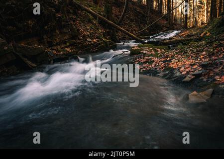 Das Wasser, das durch die Felsen im Flussbett von Kytserov fließt, erzeugt kleine Kaskaden um die Ufer, die mit bunten Herbstblättern bedeckt sind. Autu Stockfoto