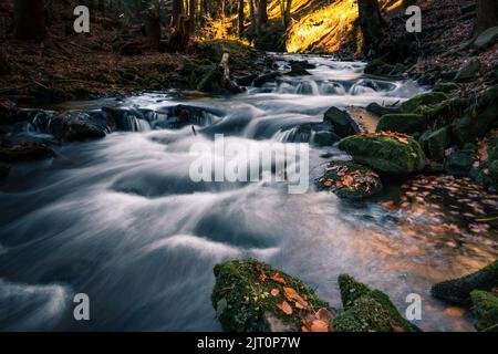 Das Wasser, das durch die Felsen im Flussbett von Kytserov fließt, erzeugt kleine Kaskaden um die Ufer, die mit bunten Herbstblättern bedeckt sind. Autu Stockfoto