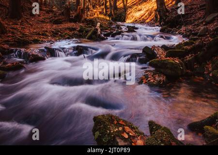 Das Wasser, das durch die Felsen im Flussbett von Kytserov fließt, erzeugt kleine Kaskaden um die Ufer, die mit bunten Herbstblättern bedeckt sind. Autu Stockfoto