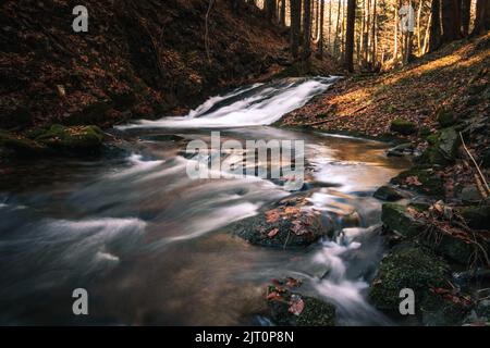 Das Wasser, das durch die Felsen im Flussbett von Kytserov fließt, erzeugt kleine Kaskaden um die Ufer, die mit bunten Herbstblättern bedeckt sind. Autu Stockfoto