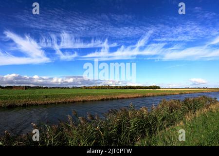 Sommer Blick über Bevills Leam entleeren, Pondersbridge Dorf, Flussauen, Cambridgeshire, England, Großbritannien Stockfoto