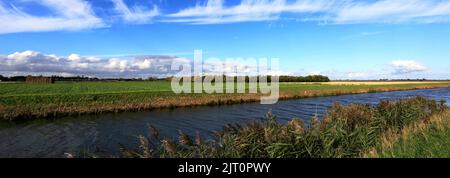 Sommer Blick über Bevills Leam entleeren, Pondersbridge Dorf, Flussauen, Cambridgeshire, England, Großbritannien Stockfoto