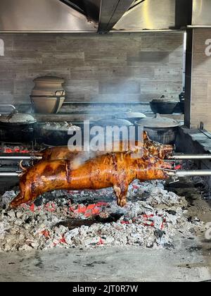 Ganze Schweine auf Spieße auf einem großen Grill Stockfoto