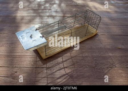 Bild einer offenen Mausefalle. Verweis auf die Fallen, die im Leben laufen Stockfoto