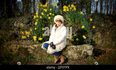 Reife Frau, die einen Pelzmantel trägt, sitzt draußen vor Narzissen - John Gollop Stockfoto