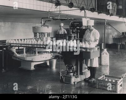 Molkerei in der 1930s. Ein Innenraum von Mjolkcentralen und seine Tankstelle von Milchflaschen. Eine frühe halbautomatische Produktionslinie, in der leere Flaschen abgefüllt und verschlossen wurden. Der Milchvertrieb in Glasflaschen wurde 1950s in Schweden nicht mehr verwendet. Stockfoto