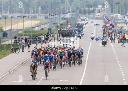 Freiburg Im Breisgau, Deutschland. 27. August 2022. Kurz nach dem scharfen Start der dritten Etappe der Deutschland-Rundfahrt radeln Radfahrer an der Suwonallee in Freiburg entlang. Die 3. Etappe der Deutschland-Rundfahrt führt von Freiburg über den Breisgau und das Markgräfler Land ins Schauinsland. Quelle: Philipp von Ditfurth/dpa/Alamy Live News Stockfoto