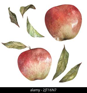 Aquarell-Illustration von rotem appetitlichen Apfel mit grünen Blättern isoliert auf weißem Hintergrund. Kann als Druck für Verpackungen, Kleidung verwendet werden Stockfoto