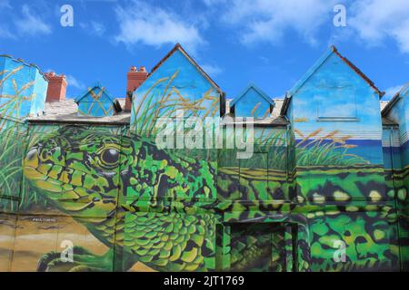 Sand Lizard Art von Paul Curtis - Ainsdale, Merseyside Stockfoto