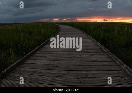 Sonnenuntergang in den Salzwiesen Stockfoto