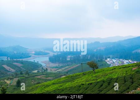 Blick auf den Teegarten und den Fluss auf Ooty Stockfoto