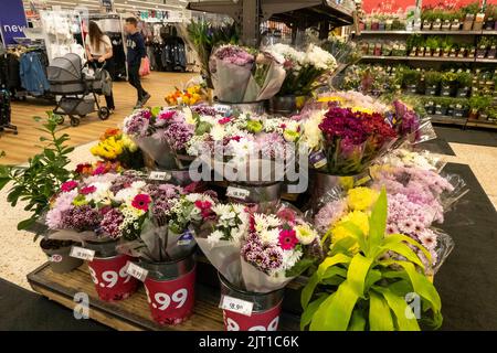 Fresh Flower Stand im Morrisons Supermarkt im Riverside Retail Park in Norwich Stockfoto