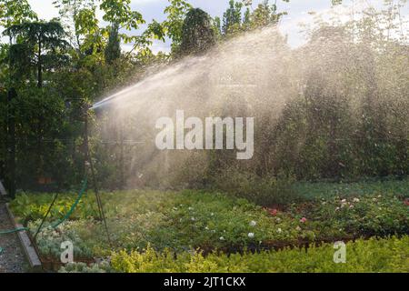 Das automatische Bewässerungssystem verteilt sauberes Wasser auf dekorative Topfpflanzen bei hellem Sonnenlicht Stockfoto
