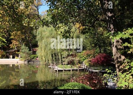 Ein Waldwanderweg über einen See, der im Herbst von einer Vielzahl von Bäumen umgeben ist, im Anderson Japanese Garden in Rockford, Illinois, USA Stockfoto