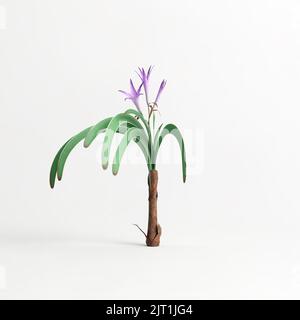 3D Illustration der worsleya procera Pflanze isoliert auf weißem Hintergrund Stockfoto