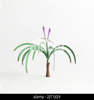 3D Illustration der worsleya procera Pflanze isoliert auf weißem Hintergrund Stockfoto
