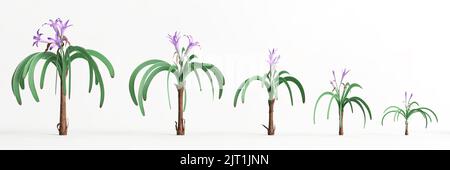 3D Illustration der set worsleya procera Pflanze isoliert auf weißem Hintergrund Stockfoto