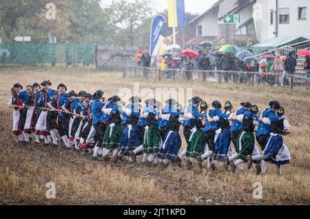 27. August 2022, Baden-Württemberg, Markgröningen: Bei starkem Regen führen die Teilnehmer des Markgröninger Schäferlaufs den Schäfer-Tanz auf einem Stoppelfeld auf. Foto: Christoph Schmidt/dpa Stockfoto