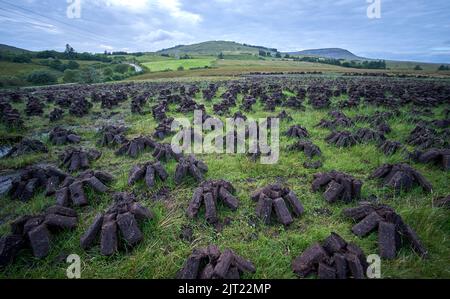 Rasen fossile Brennstoffe trocknen in einem irischen Moor. Stockfoto