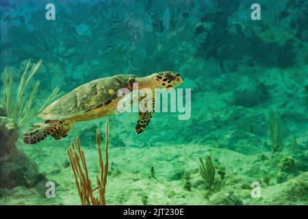 Digital erstellte Aquarellmalerei von grünen Schildkröten, die in den Gewässern von Little Cayman kreuzen