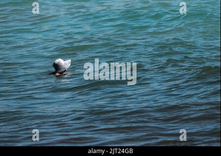 Alicante, Spanien. 27. August 2022. Eine Frau kühlt sich in einem heißen Sommer am Strand von El Postiguet ab. Das gesamte touristische Angebot in der Provinz Alicante hat die Belegungsdaten vor der Pandemie wiederhergestellt, wobei Touristenwohnungen und Hotels während eines Teils des Sommers eine Belegung von fast 100 % verzeichnen. Quelle: Marcos del Mazo/Alamy Live News Stockfoto