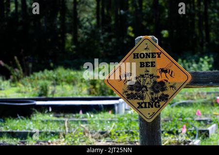 Closeup Honigbiene Kreuzung Schild an einem Garten - Schützen Sie die Bienen Stockfoto