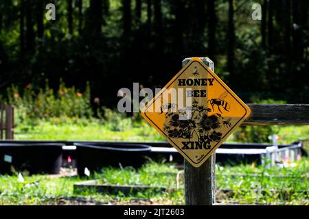 Closeup Honey Bee Crossing Schild - Schützen Sie die Bienen Stockfoto