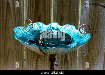 Blaues und grünes Glas-Vogelbad mit solarbetriebener Fontäne für den Garten Stockfoto