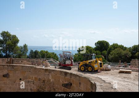 Seitenansicht eines Minibaggers und eines Kompaktladers auf der Baustelle in der Nähe von grünen Bäumen Stockfoto