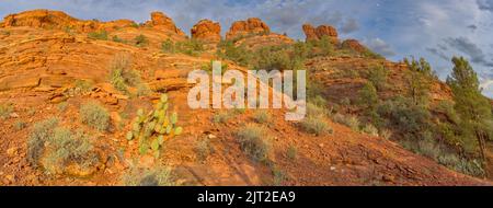 Die Westseite von Cockscomb Butte in Sedona, Arizona, vom Ground Control Trail bei Sonnenuntergang aus gesehen. Stockfoto