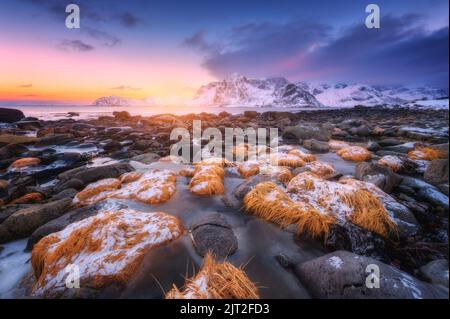 Steine mit gelbem Gras im Eis am Strand, verschneite Berge Stockfoto