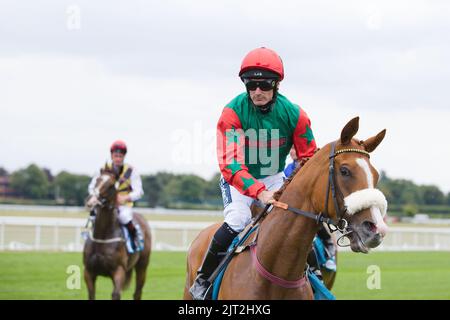 Jockey Paul Mulrennan auf Northern Express bei York Races. Stockfoto