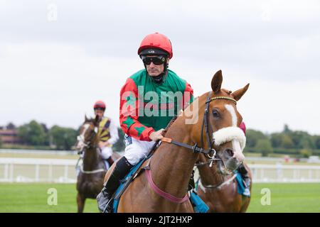 Jockey Paul Mulrennan auf Northern Express bei York Races. Stockfoto