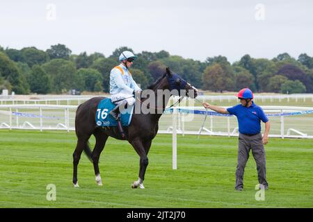 Jockey Jim Crowley bei den York Races auf Revich. Stockfoto